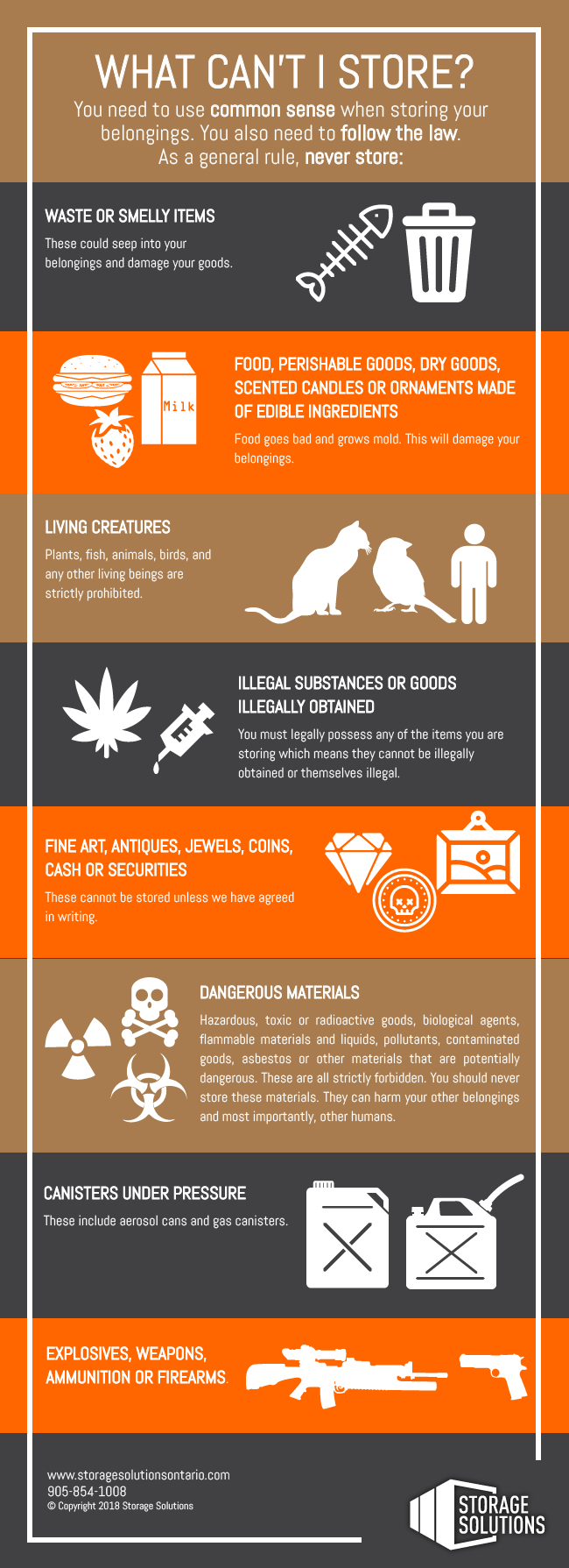 An infographic that visually shows you what not to store in a self-storage unit